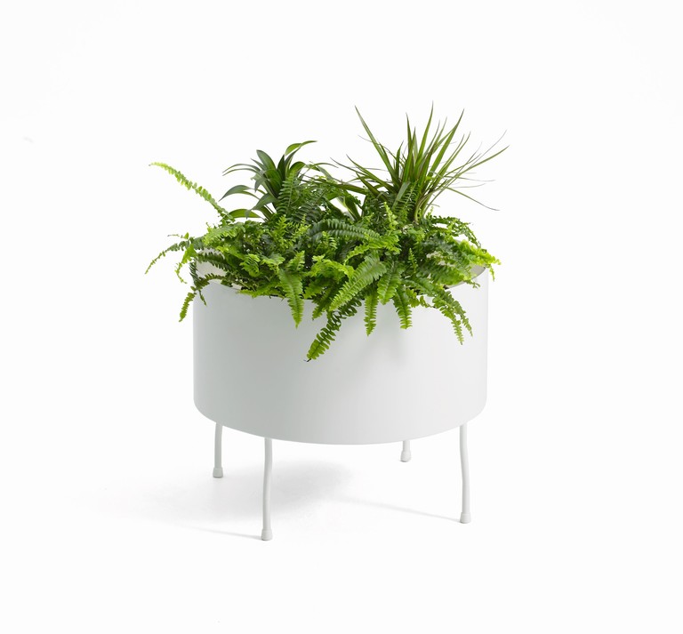 Integrador de espacios O2asis